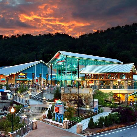 The Solstice - Amenities Galore Mountain Retreat Gatlinburg Eksteriør billede